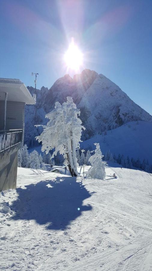 Gaestehaus Walpurga Rußbach am Paß Gschütt Exteriör bild