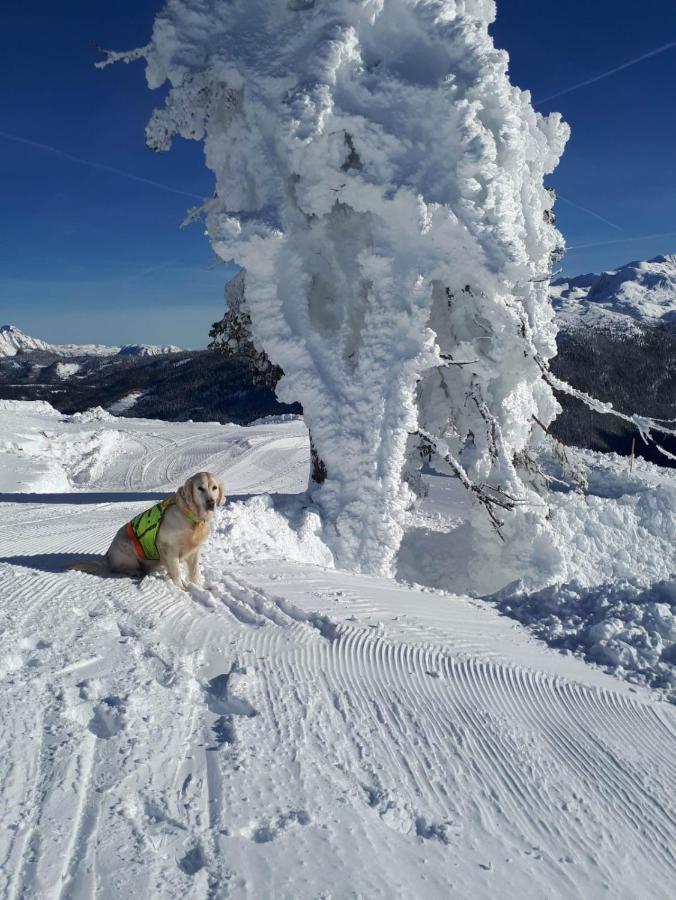 Gaestehaus Walpurga Rußbach am Paß Gschütt Exteriör bild