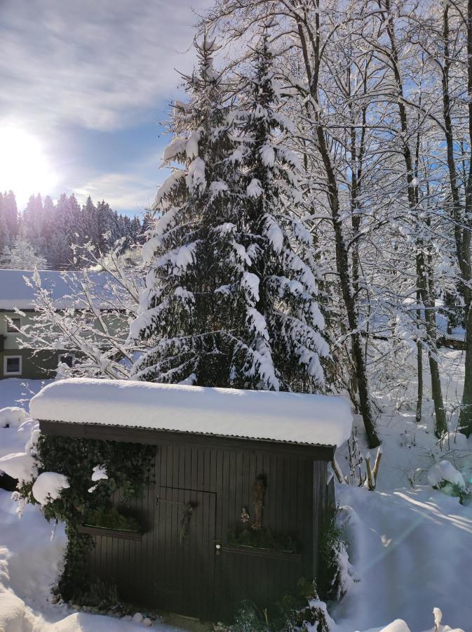 Gaestehaus Walpurga Rußbach am Paß Gschütt Exteriör bild