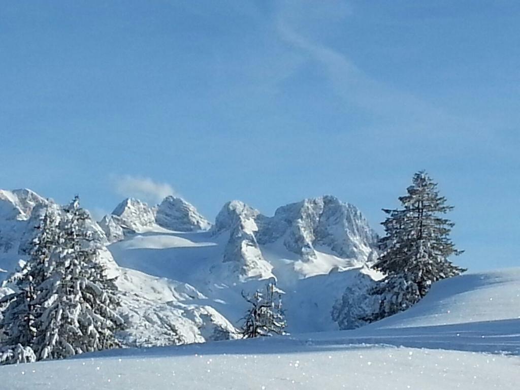 Gaestehaus Walpurga Rußbach am Paß Gschütt Exteriör bild