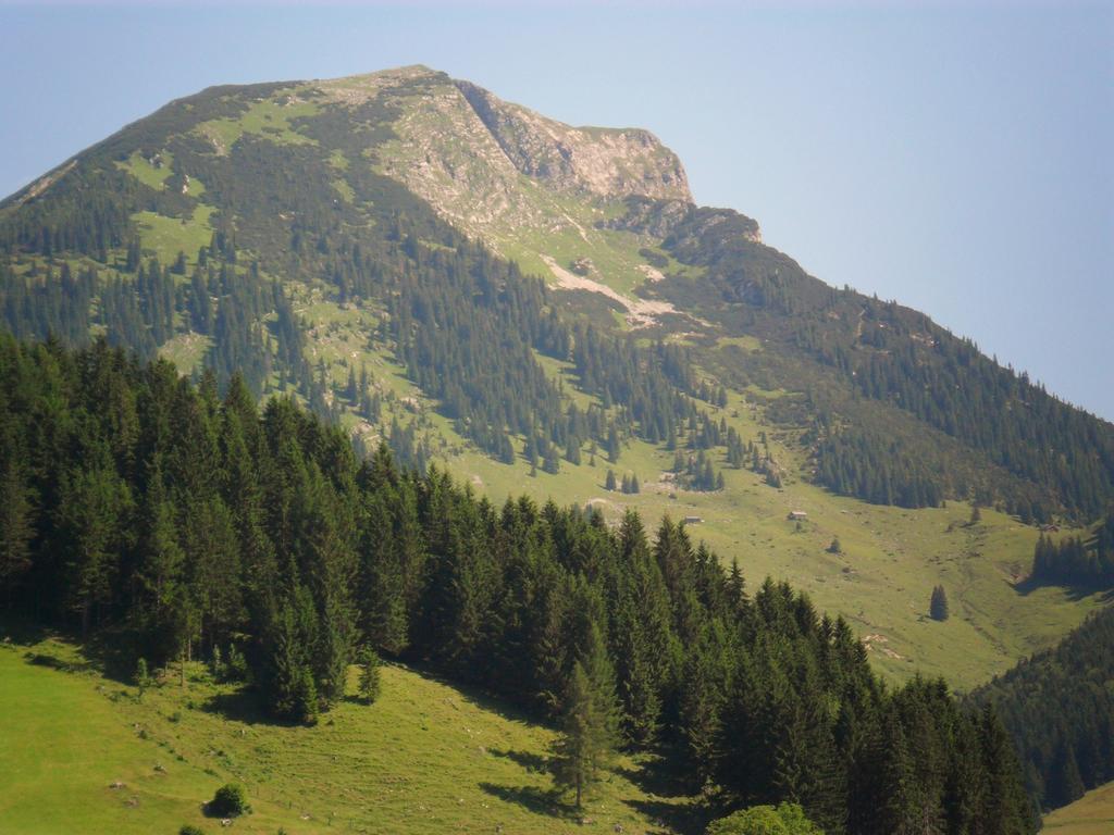 Gaestehaus Walpurga Rußbach am Paß Gschütt Exteriör bild